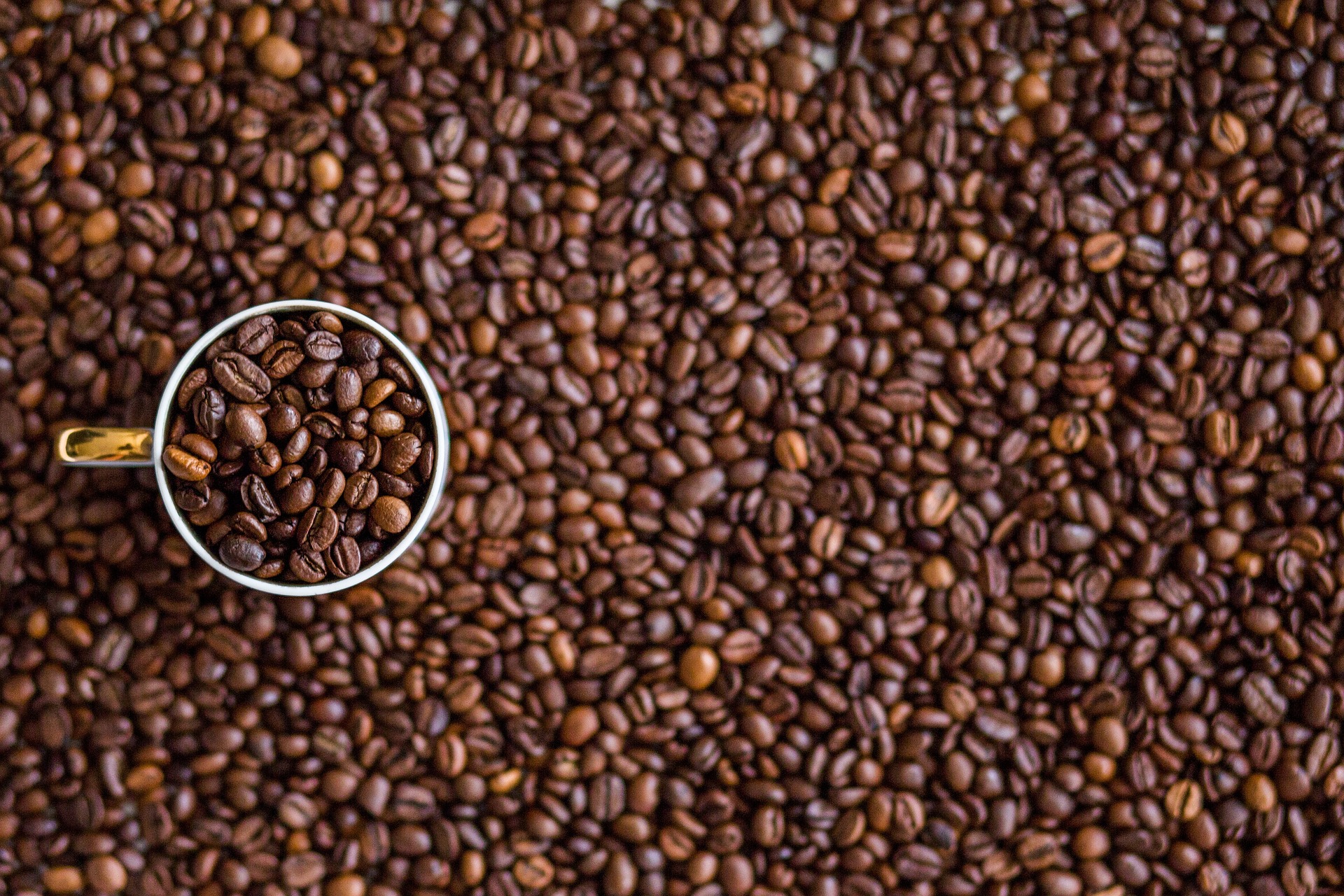 La macchina per espresso: breve storia e come sceglierla, SAIDA Gusto Espresso