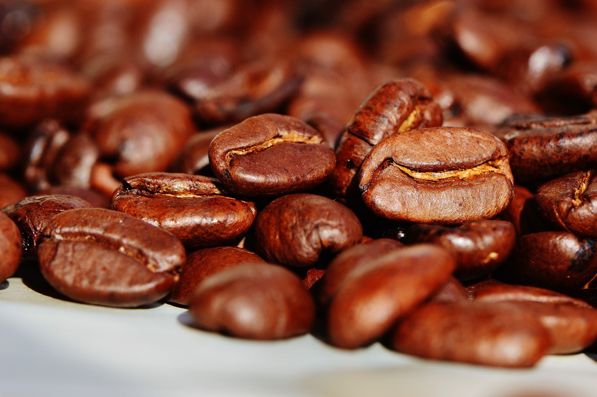 How to choose the best coffee beans, SAIDA Gusto Espresso