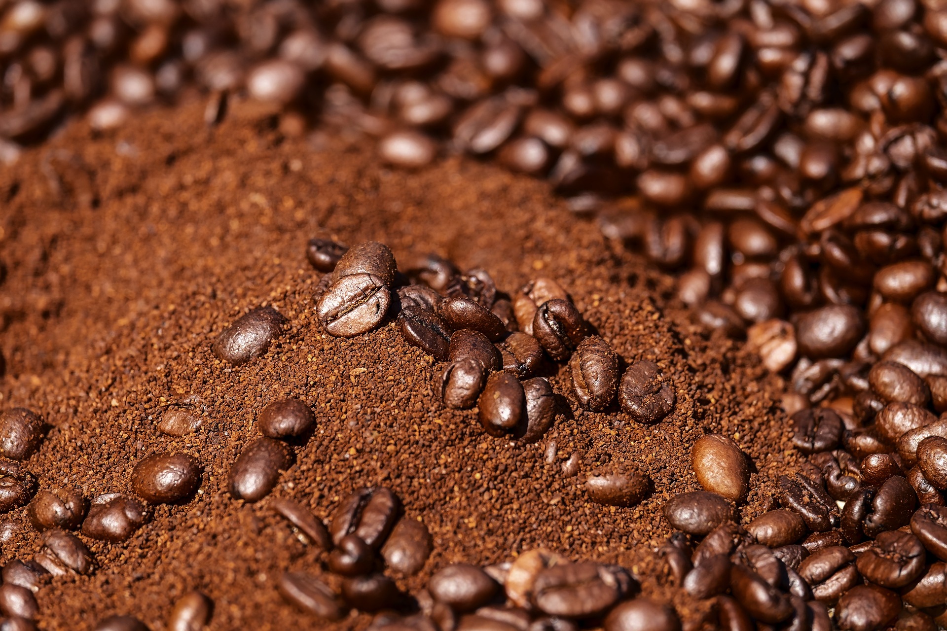 Curiosities about coffee grinding: find out everything, SAIDA Gusto Espresso