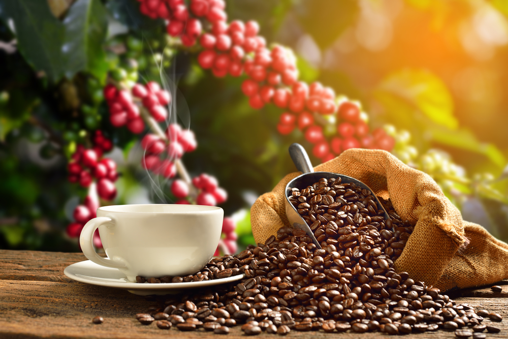 Capsule caffè e alimentazione: scopri come il caffè può influire sulla tua dieta e il tuo stile di vita, SAIDA Gusto Espresso