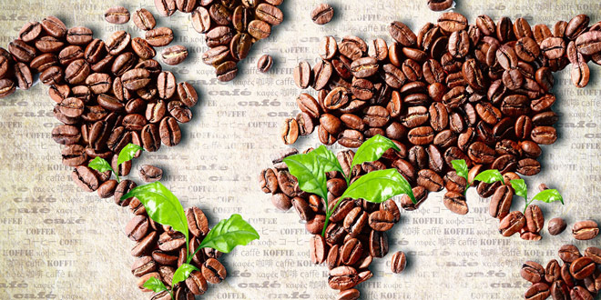Caffè sostenibile, SAIDA Gusto Espresso