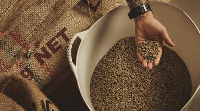 Organic and sustainable coffee: the future of coffee according to Saida, SAIDA Gusto Espresso