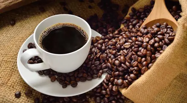 Le Proprietà del Caffè: il Benessere Mentale e Altri Benefici, SAIDA Gusto Espresso