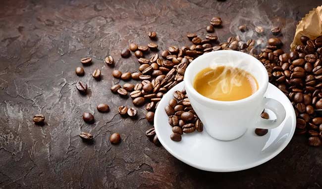The Perfect Espresso: Science and Art of Coffee, SAIDA Gusto Espresso
