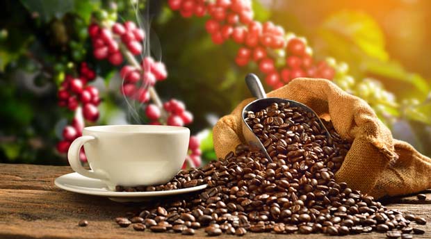 Il Miglior caffè al mondo: 10 alternative di altissima qualità, SAIDA Gusto Espresso