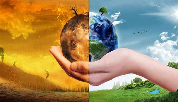 Cambiamenti climatici l'impatto sul caffè