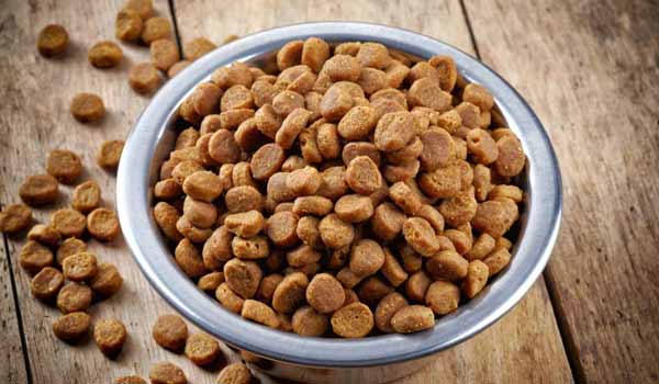 crocchette nella ciotola